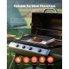Carbon Steel Griddle, 22x16 in.