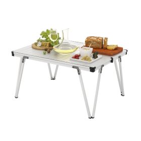 Folding Camping Table with Storage Bag (Color: Silver, Type: Camping Table)