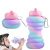 550ML Collapsible Silicone Water Bottle