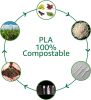 100% Compostable  Knives Forks Spoons